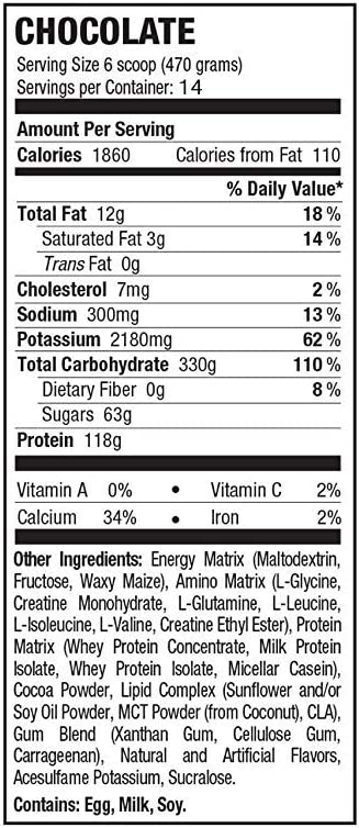 Russian Bear 10000 Weight Gainer Bag Chocolate, 15 lb