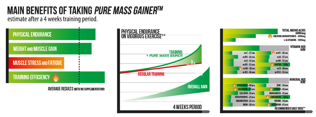 NEED Pure Mass Gainer - 10 lbs